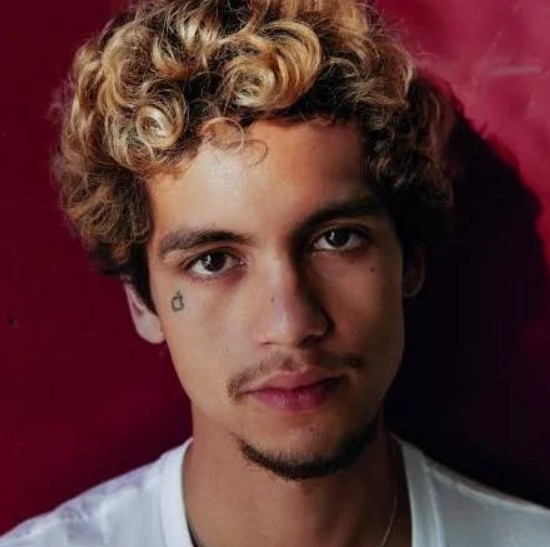 Dominic Fike Fan Mail Address