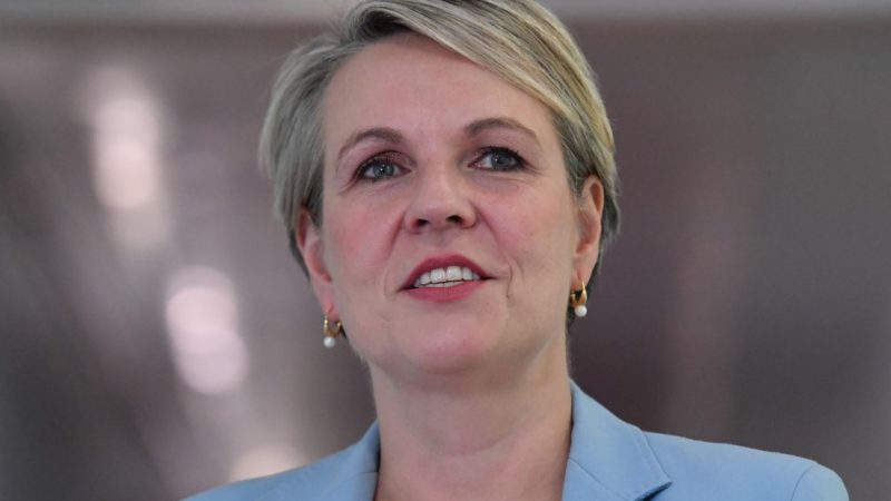 Tanya Plibersek Fan Mail Address