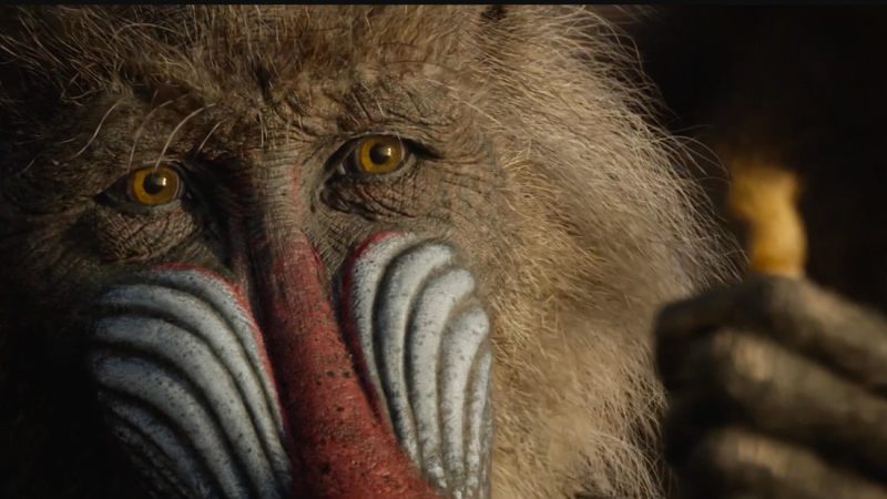 Adam Valdez Fan Mail Address