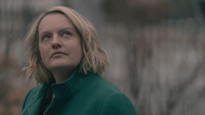 Daina Reid Fan Mail Address