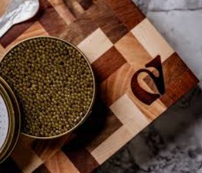 The Notorious Foodie Fan Mail Addreess