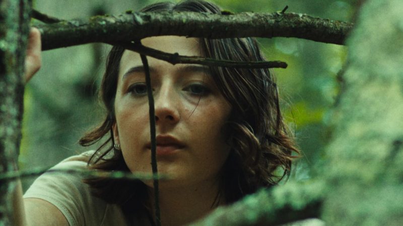 Lily Collias Fan Mail Address