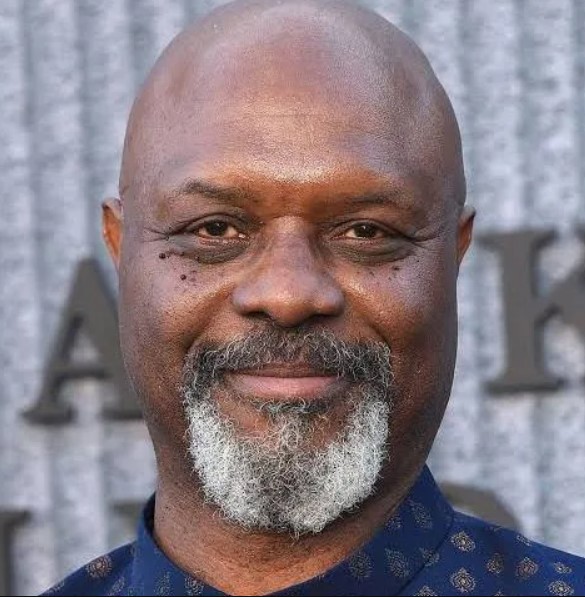 Robert Wisdom Fan Mail Address