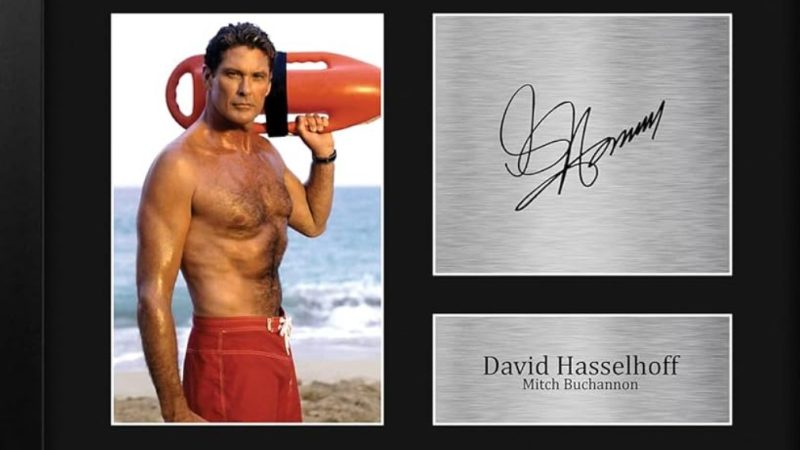 David Hasselhoff Fan Mail Address