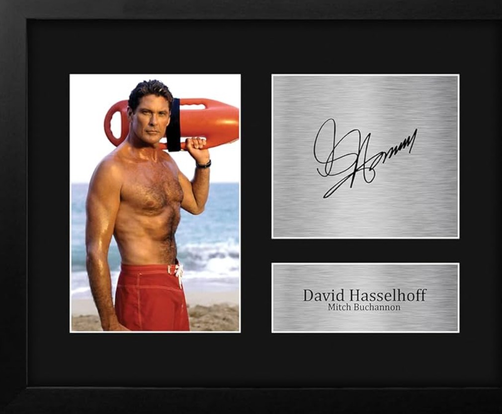 David Hasselhoff Fan Mail Address